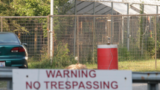 Exotic Animal Owner Died During "Consensual Sex Act"